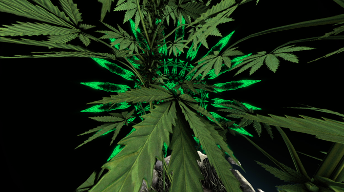 Flosstradamus Visuals