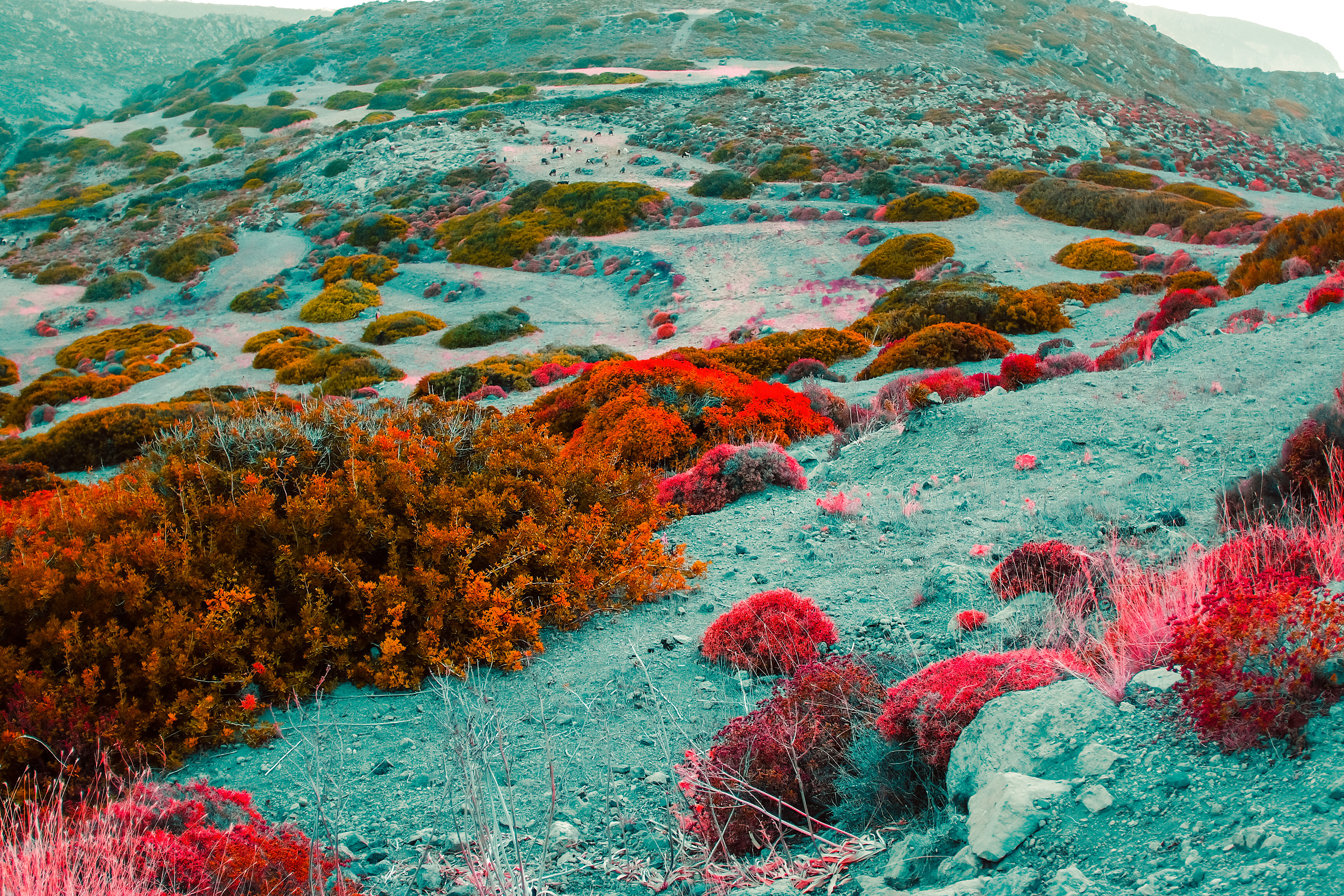 utopian landscapes antoine geiger