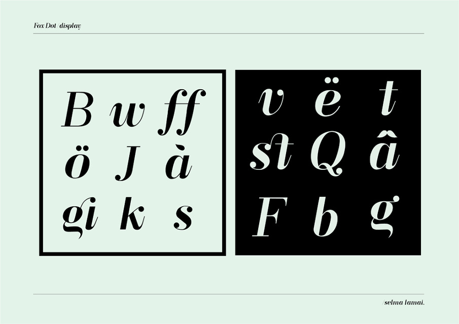 F O X D O T D I S P L A Y Selmalamai Dk Personal Network