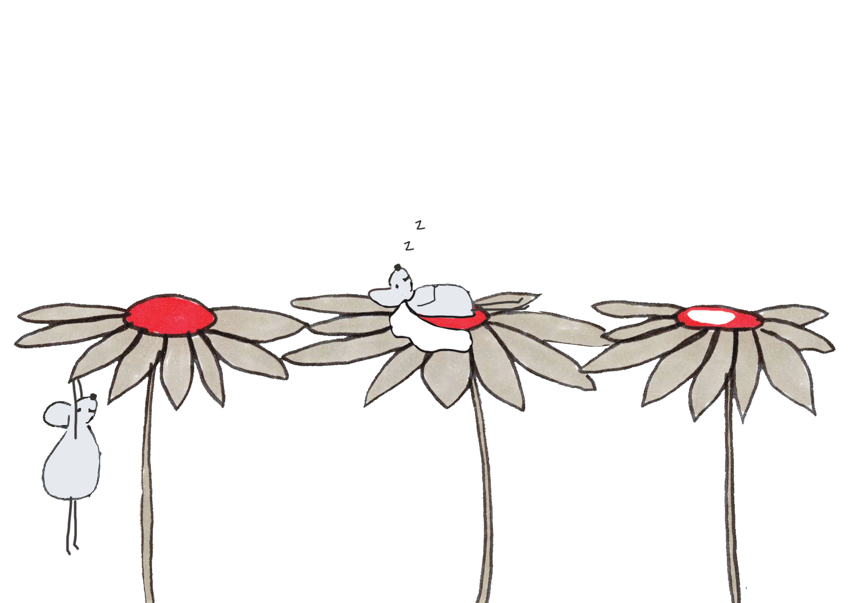 Animation - mimage