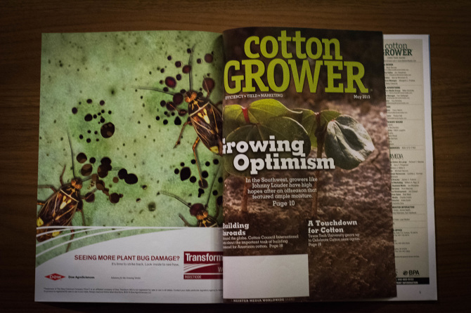 Transform Insecticide Transform Insecticide - Bryan Miguel | Creative Director + Copywriter