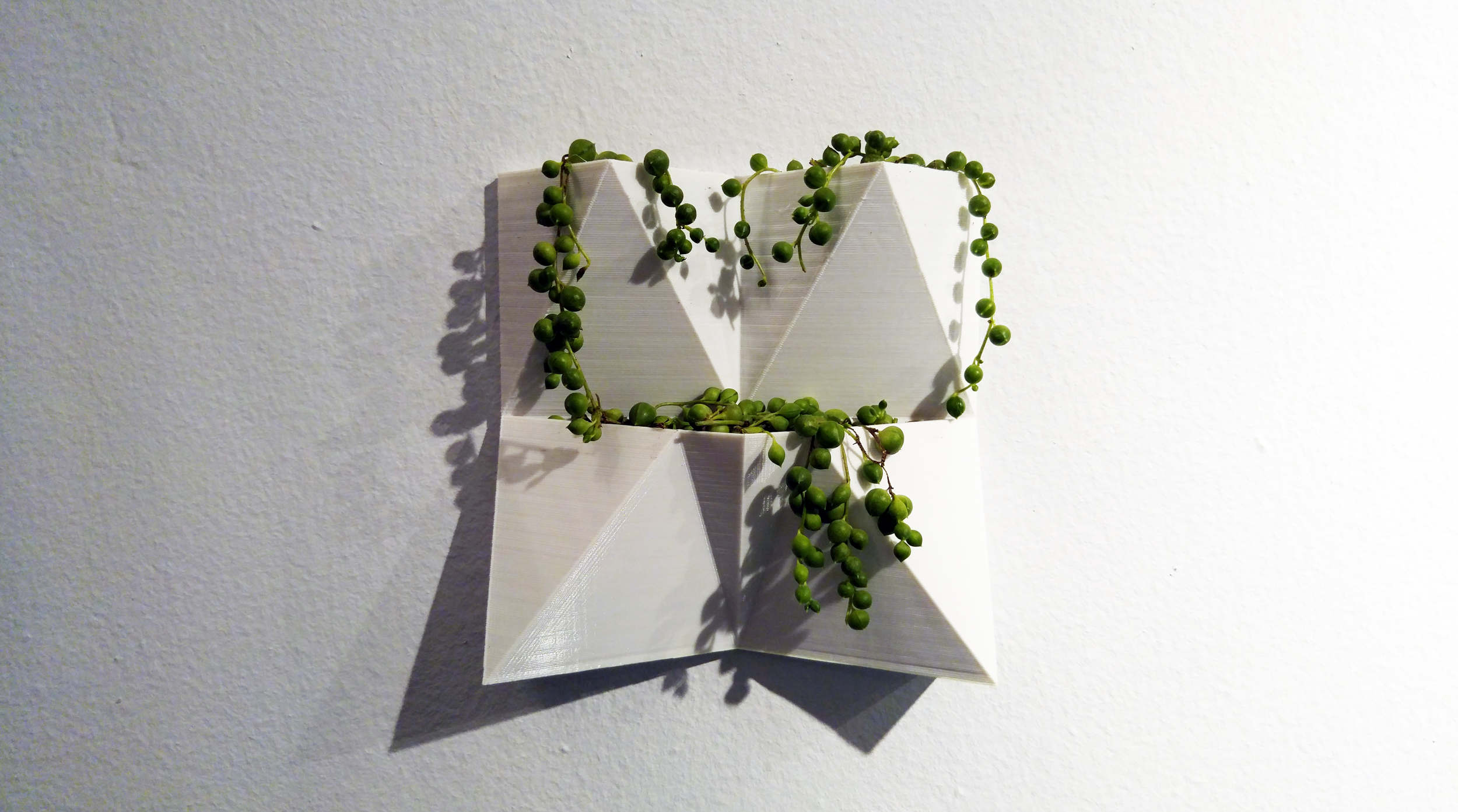 Plus Minus | 2015 - Vicente Gascó