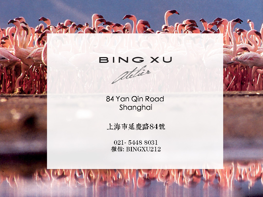 BING XU COLLECTION