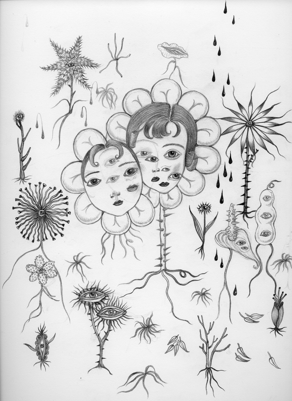 漂浮植物／Floating Plant Fangcaier Zhu