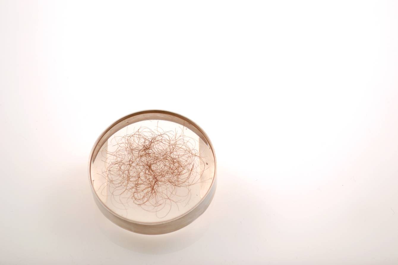 Untitled Megan Frances Baker