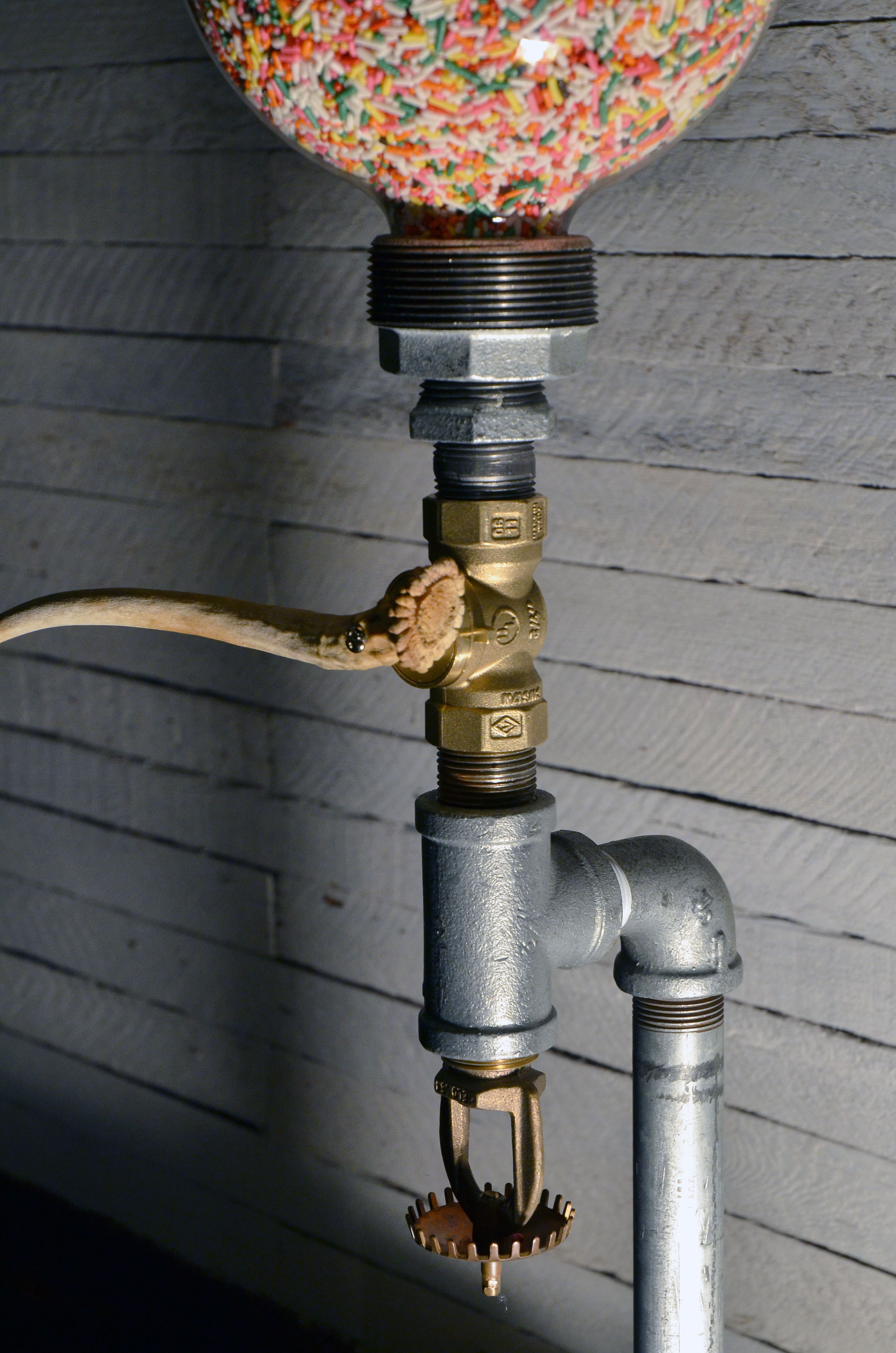Das Sprinkler - Shelly Huber
