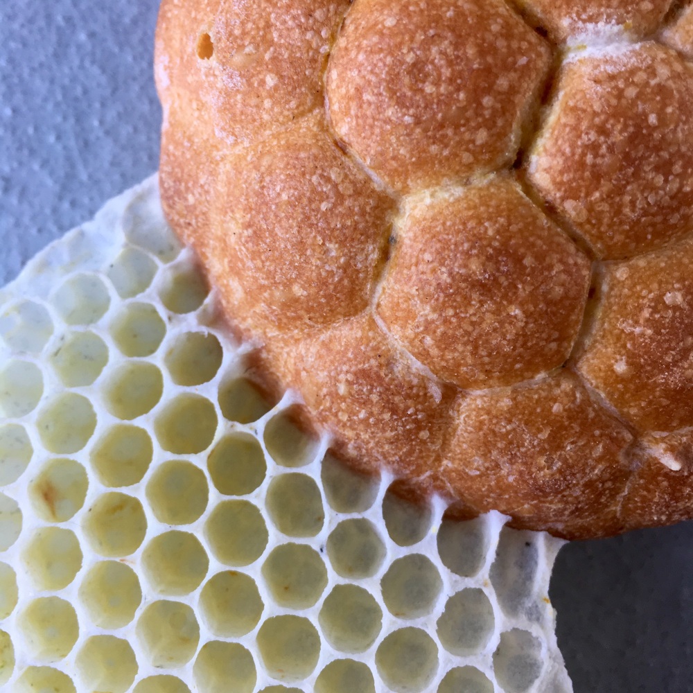 SNEAK PEAK PANE e MIELE (BREAD + HONEY) EXHIBITION, MEGA, MILAN