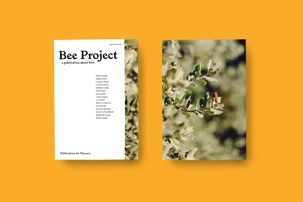 THE BEE PROJECT - HONEYFINGERS
