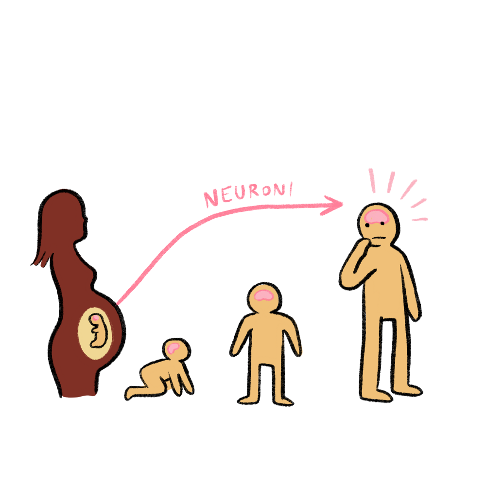 Il Cervello a Fumetti Matteo Farinella Il Cervello a Fumetti Matteo Farinella