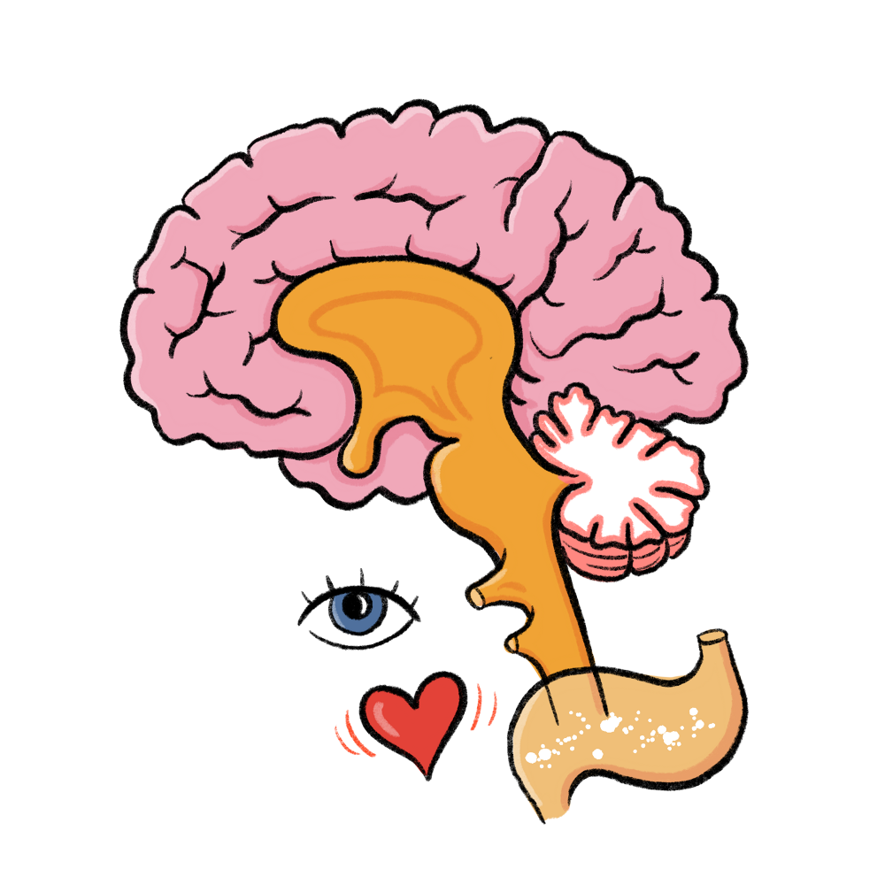 Il Cervello a Fumetti Matteo Farinella Il Cervello a Fumetti Matteo Farinella