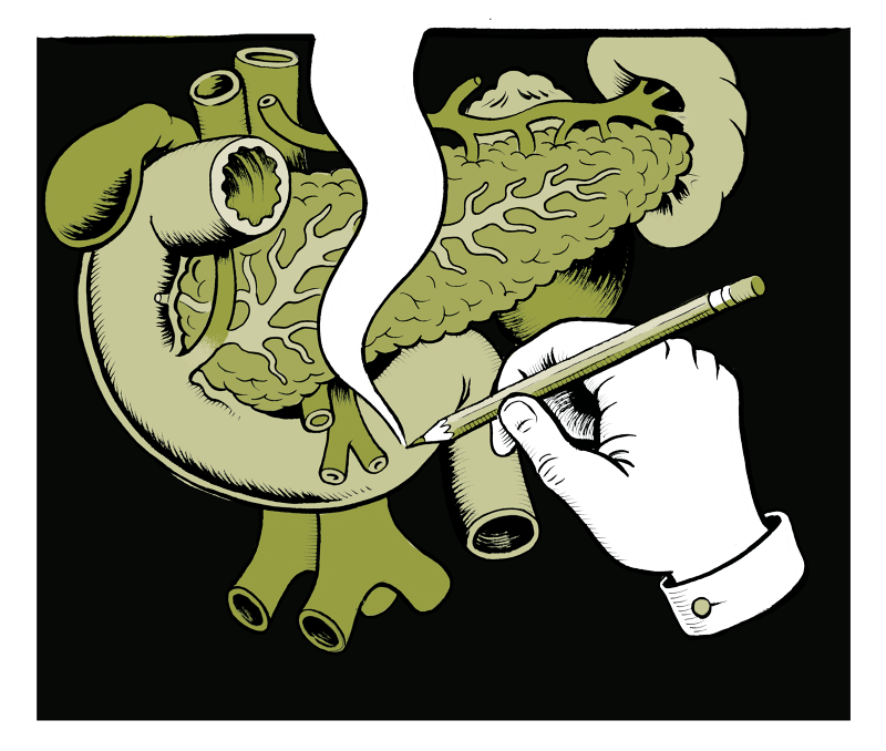 Graphic anatomy matteo farinella