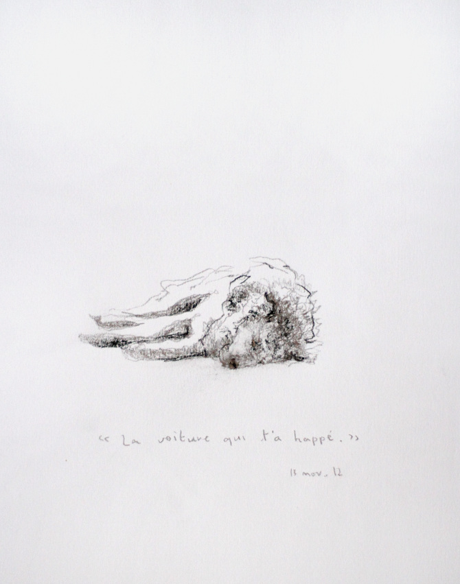 Mon chien est mort corpus Karina Pawlikowski