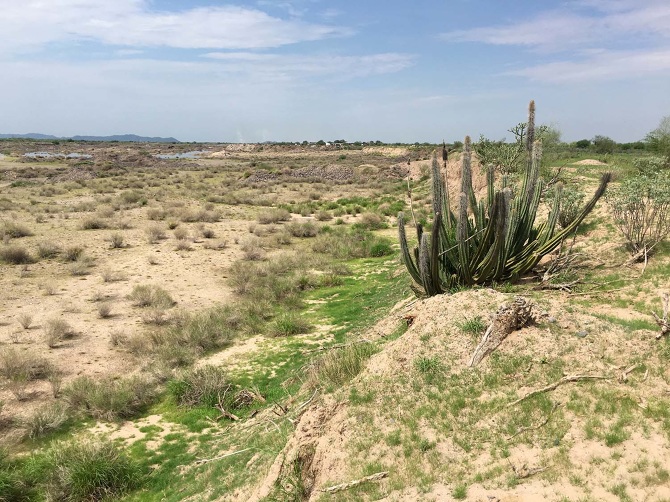 Hermosillo Metropolitan Park Landscape Design 2018 18 Gabriel Hermosillo Metropolitan Park Landscape Design 2018 18 Gabriel Diaz Montemayor