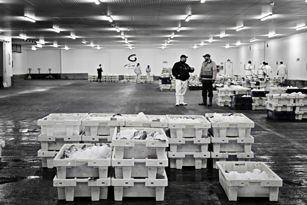The Grimsby Fish Industry Dominic Fell Photography