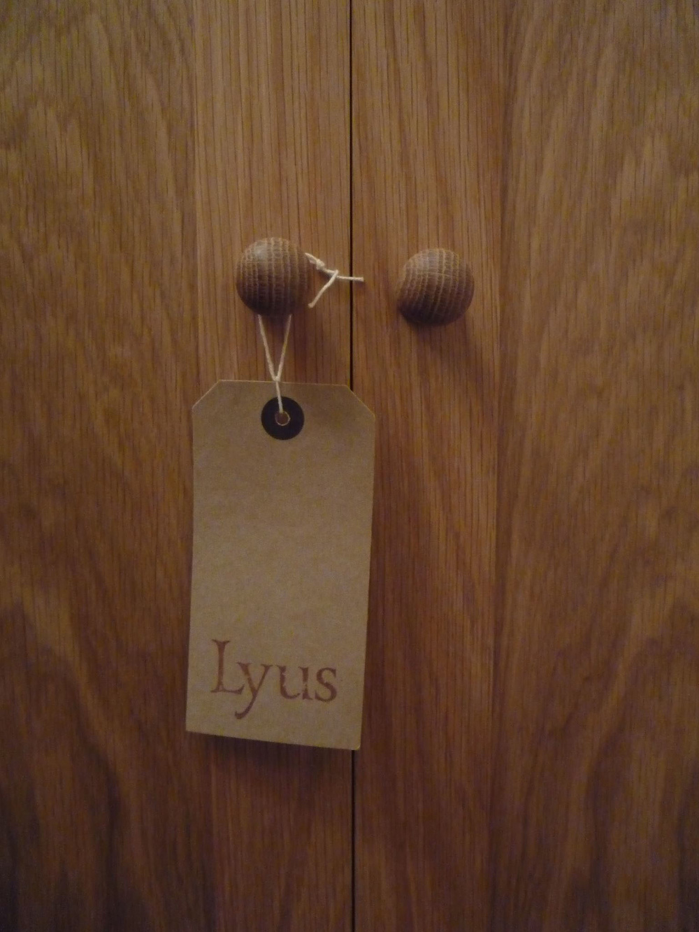 Meter Cupboard Lyus