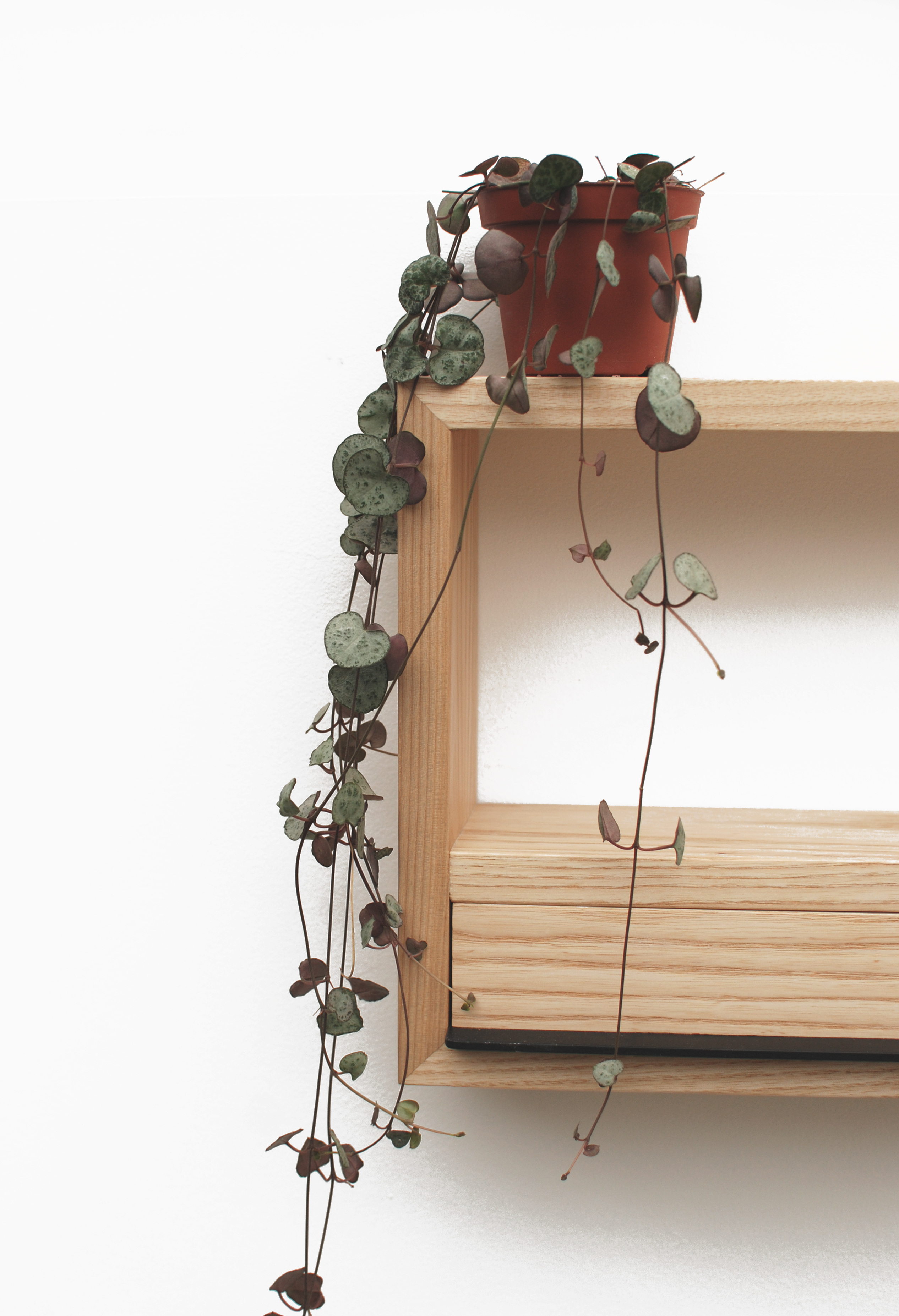 270 Corner Shelf - Heather Scott Design