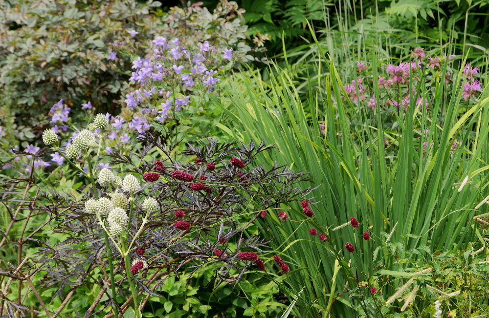 WINTER HARBOR, MAINE