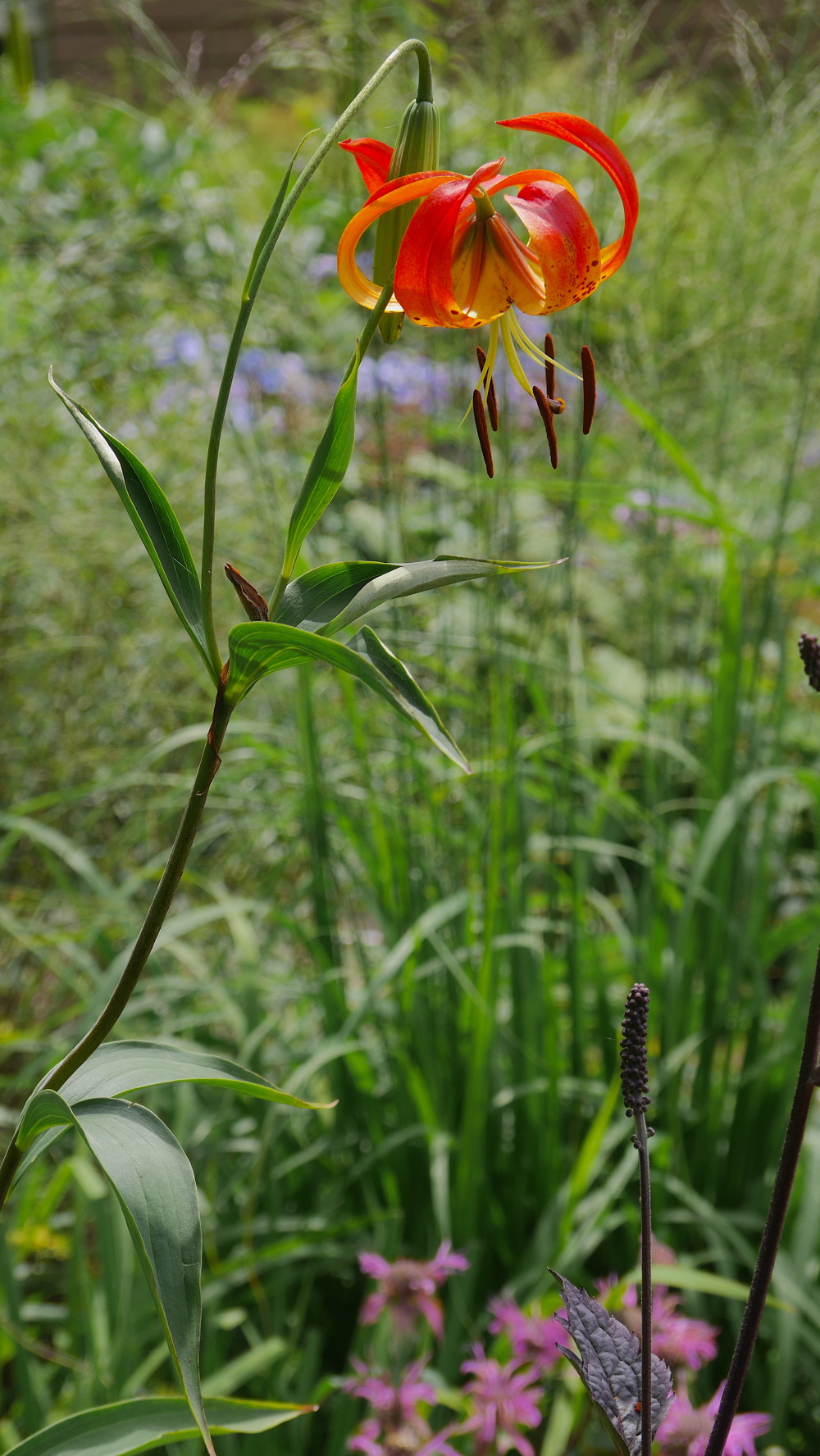 WINTER HARBOR, MAINE