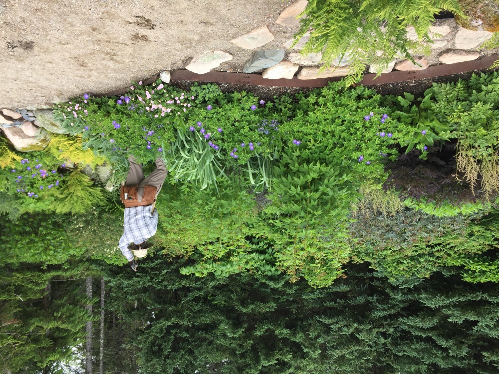 WINTER HARBOR, MAINE