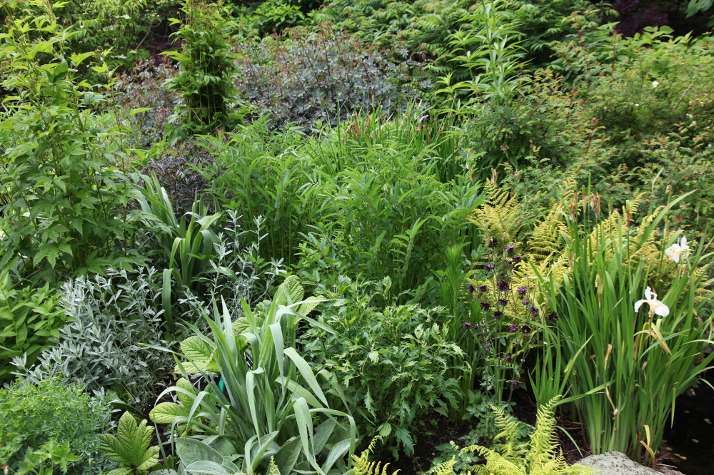 WINTER HARBOR, MAINE