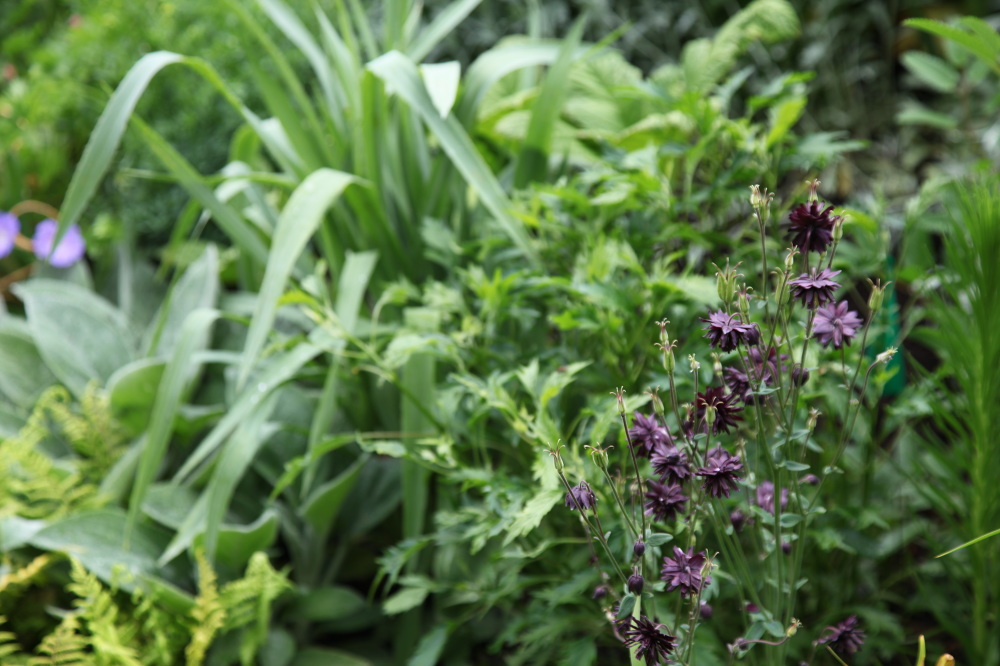 WINTER HARBOR, MAINE