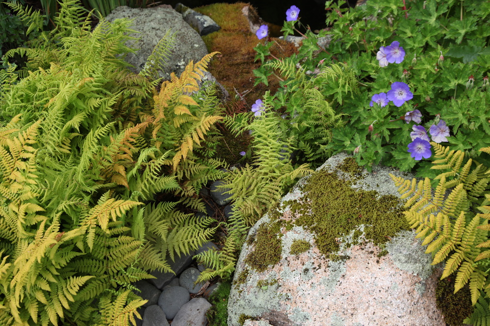 WINTER HARBOR, MAINE