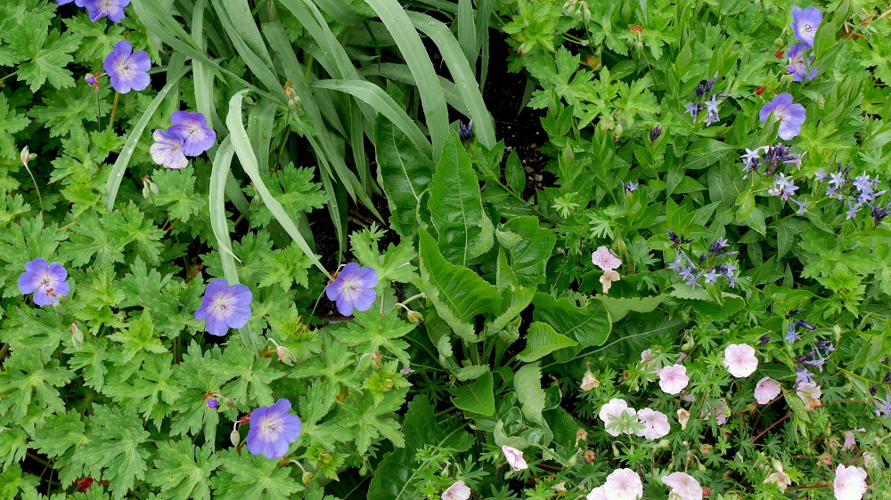 WINTER HARBOR, MAINE