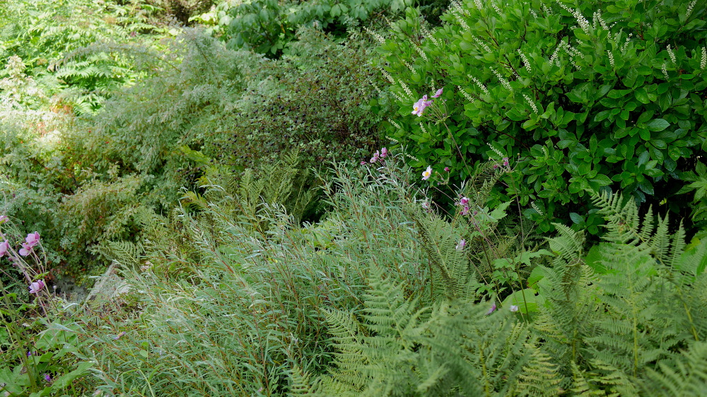 WINTER HARBOR, MAINE