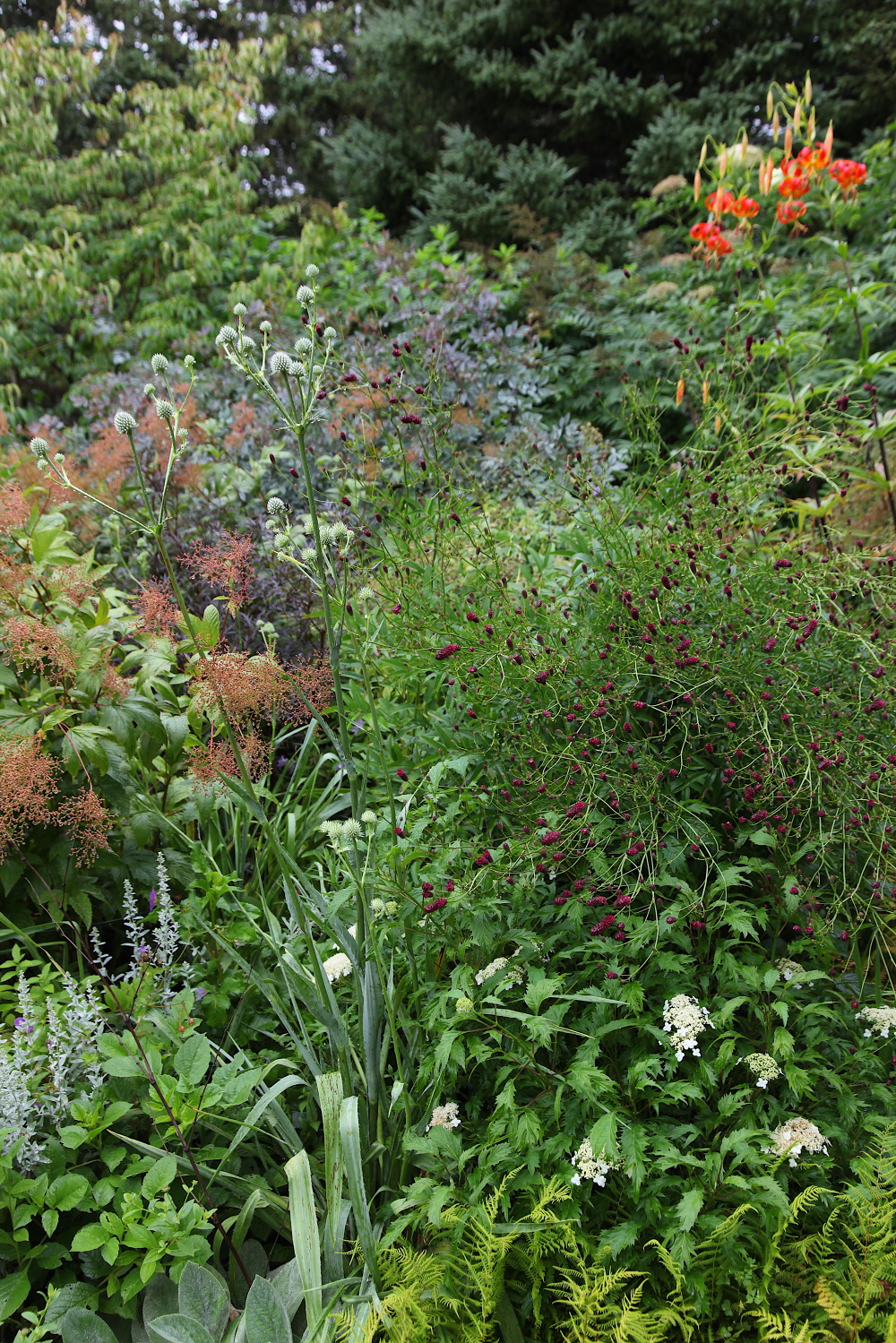 WINTER HARBOR, MAINE