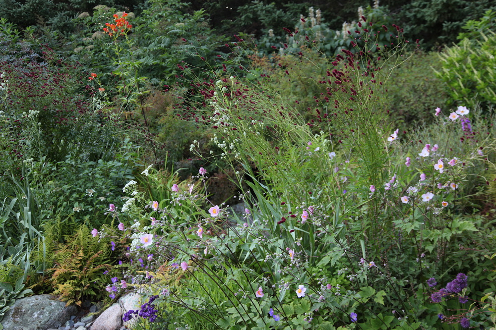 WINTER HARBOR, MAINE