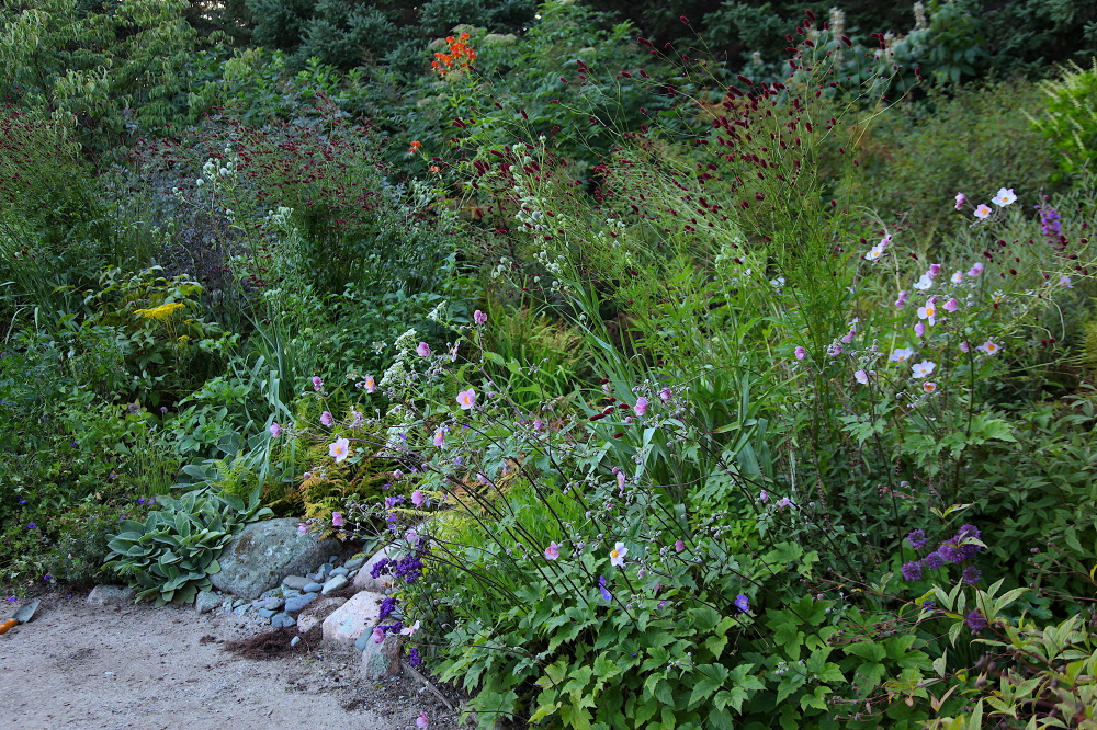 WINTER HARBOR, MAINE