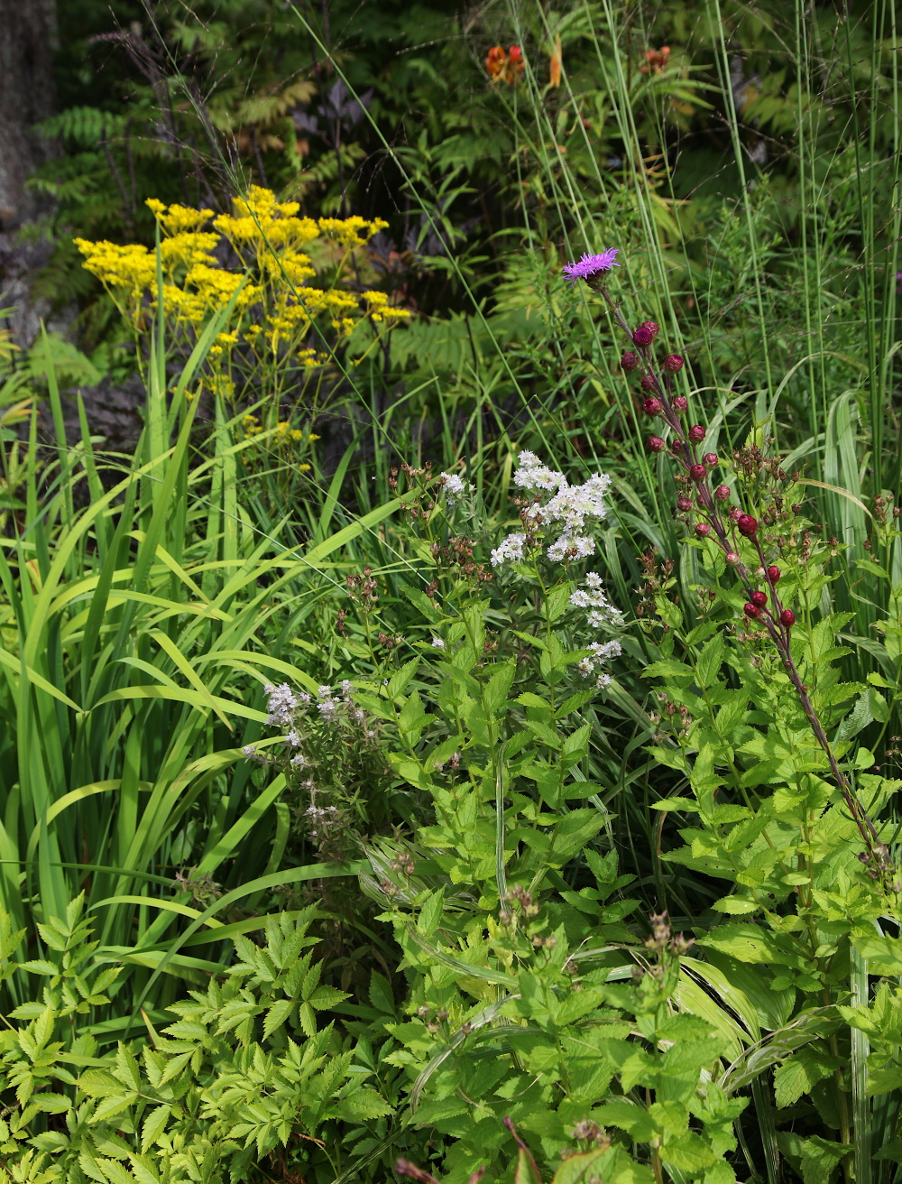 WINTER HARBOR, MAINE