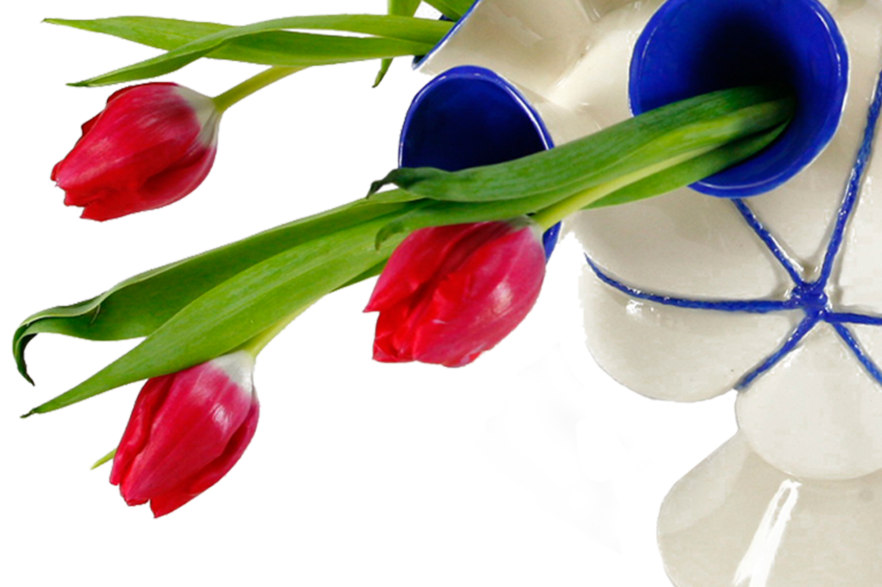 Tulip vase Aniek Meeldijk