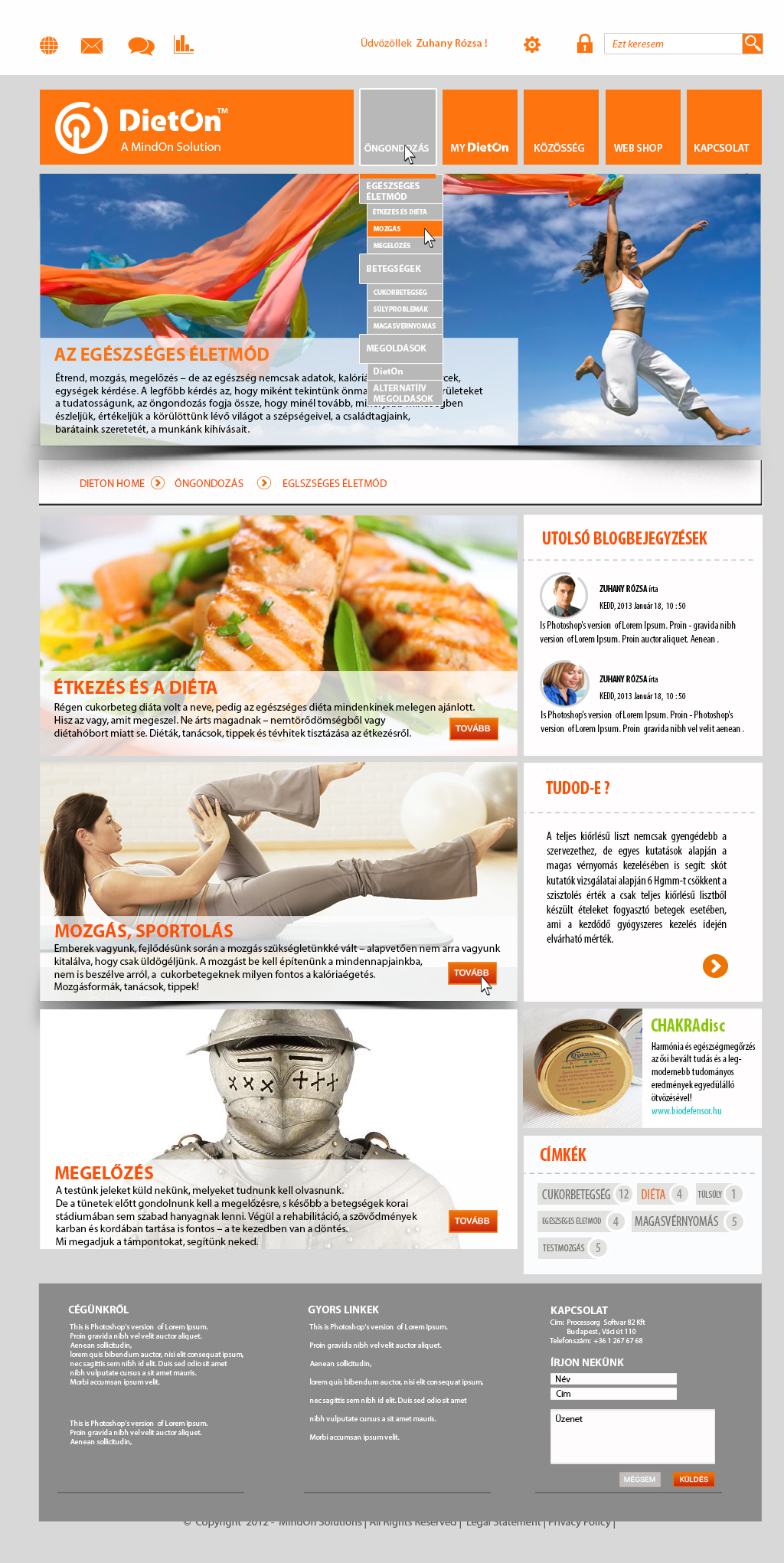 DietOn WEB and Webshop - UI-UX and WEB Graphic Design DietOn WEB and Webshop - UI-UX and WEB Graphic Design