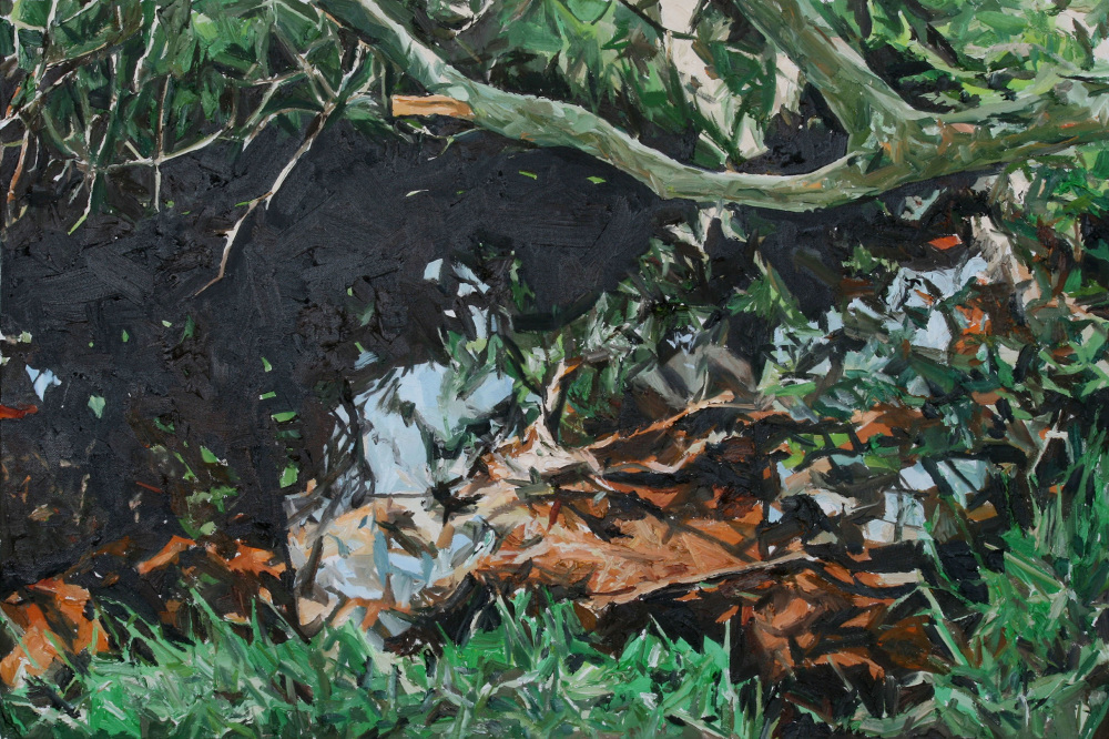landscape - Richard Allen