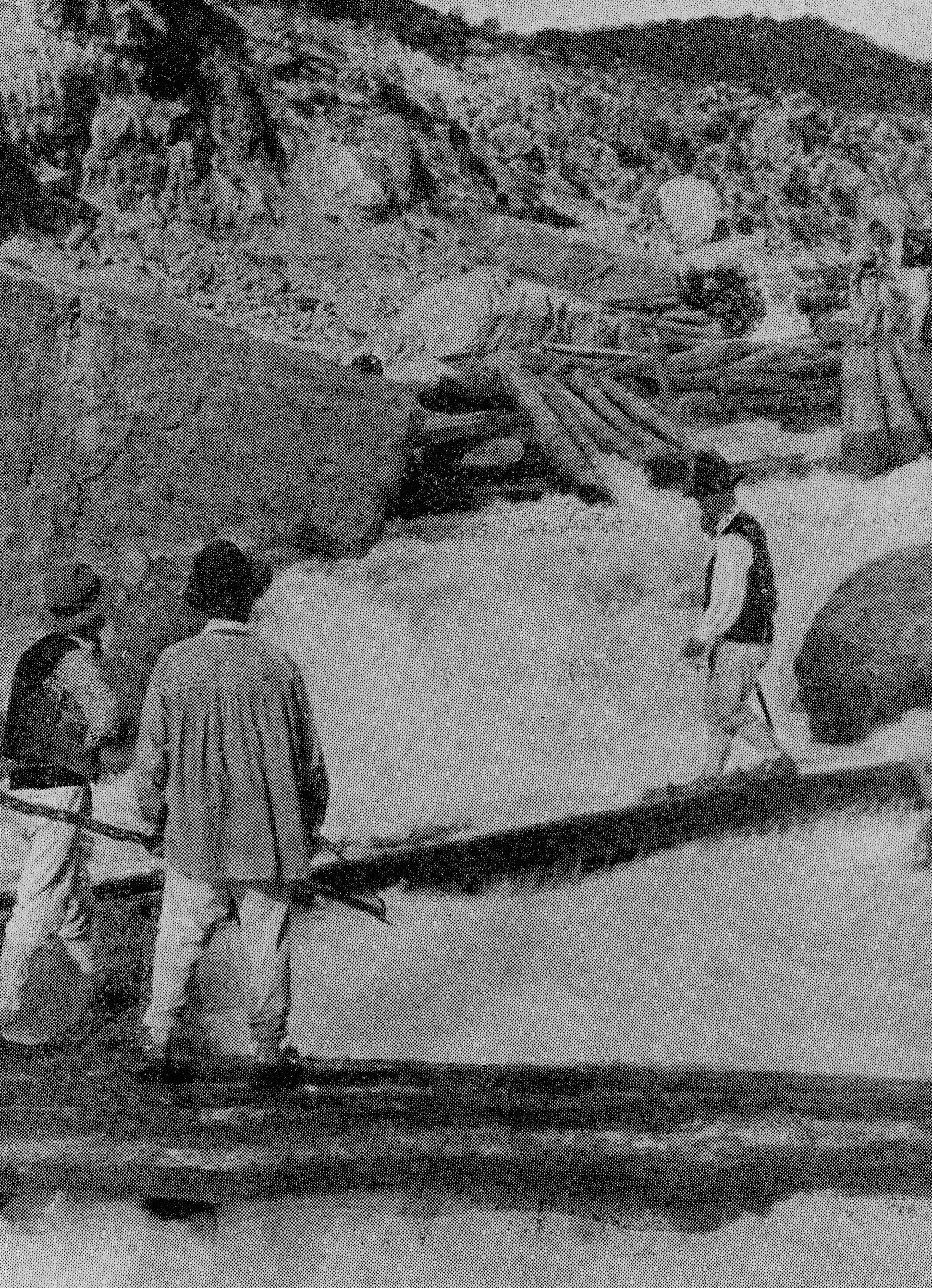 el rio que nos lleva francisco vazquez murillo / work el rio que nos lleva francisco vazquez murillo / work
