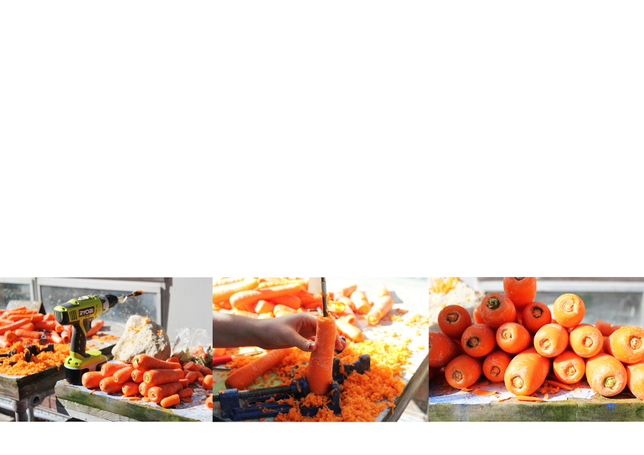 Carrot Flute Orchestra staciewoolsey