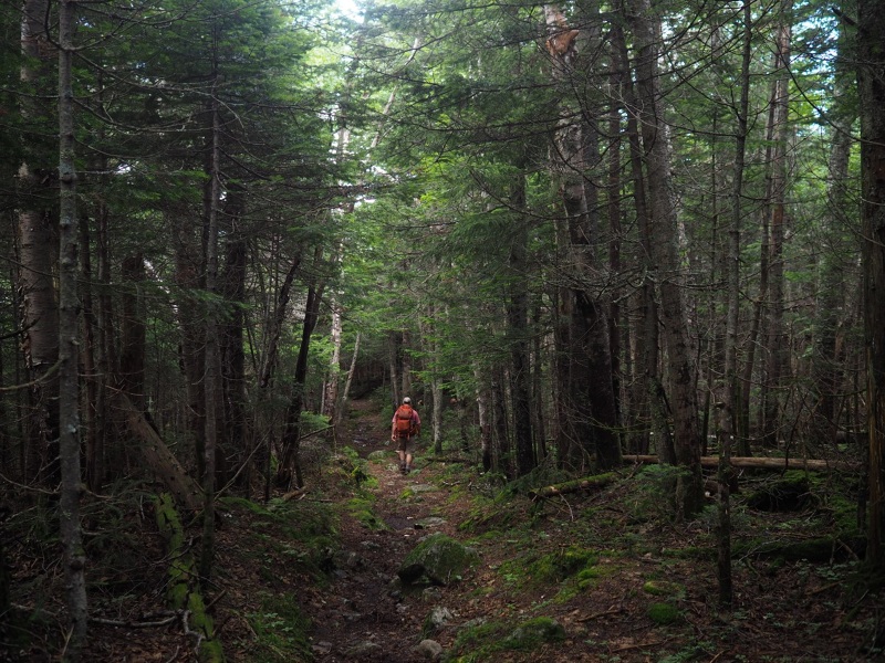 Waterville Valley Hike rumblings