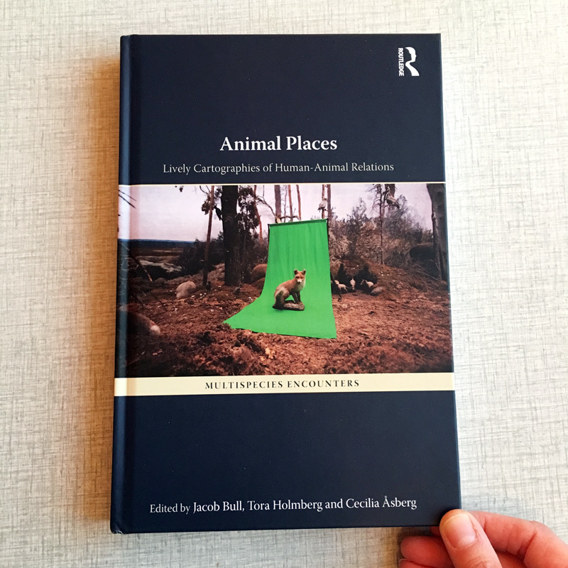 green screen animal places