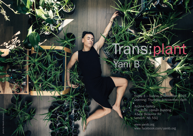 Trans Plant Www Niyab