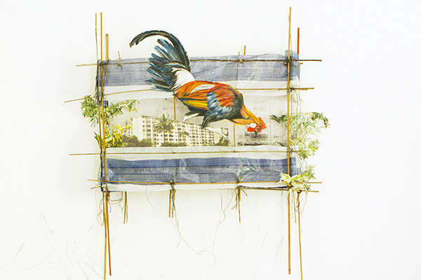 lucy davis tanglin halt 2015 08 migrant ecologies project in valentine willie s lucy davis tanglin halt 2015 08 migrant ecologies project in valentine willie s
