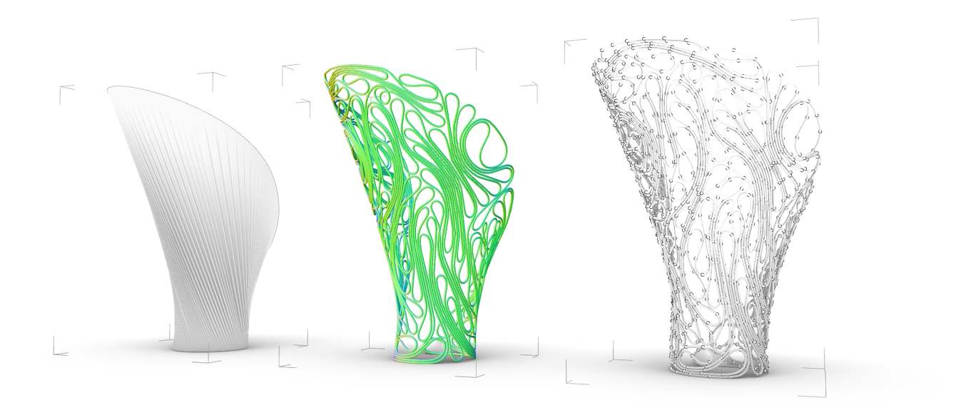 DIFFERENTIAL GROWTH - davidedelgiudice