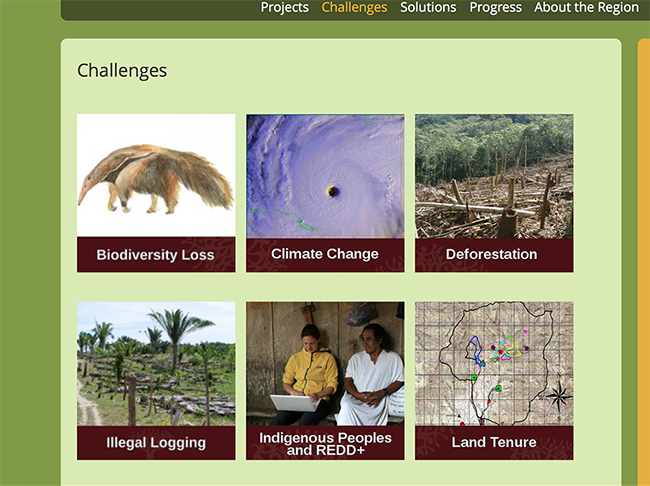 EcoLogic Development Fund - camerongracepoole