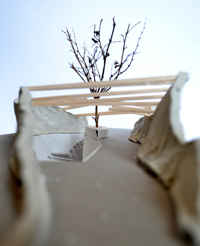RIBBON ENCLOSURE - Rosanna