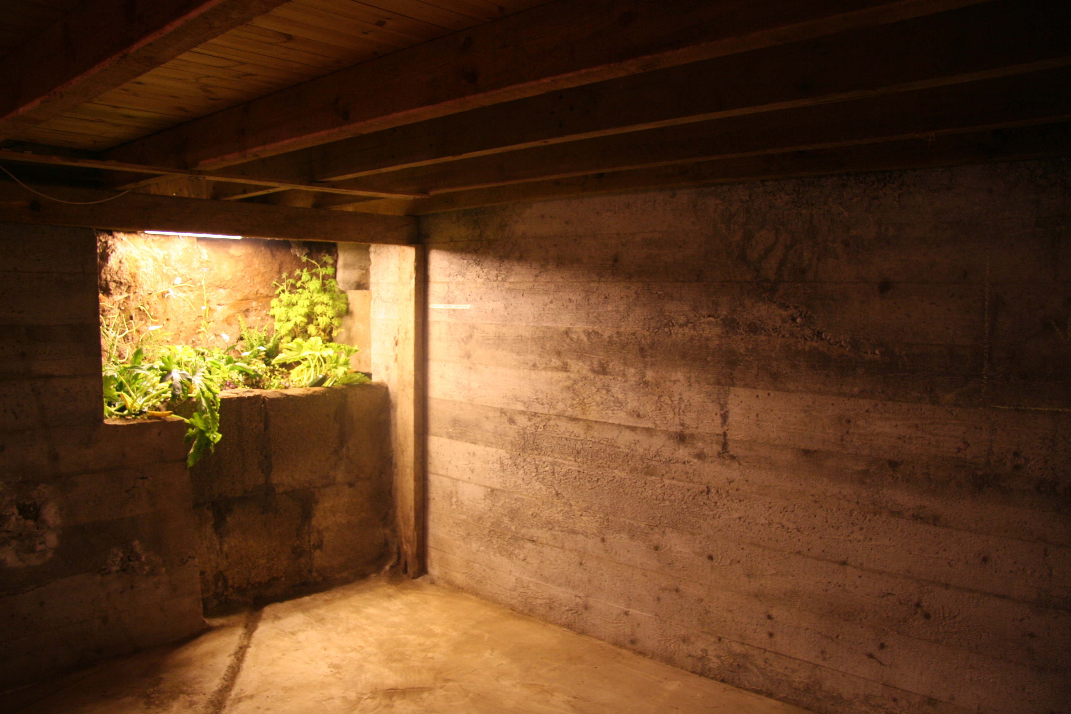 Basement garden Ásgeir Skúlason