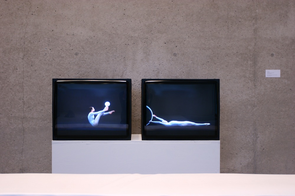 Simon Denny and Laura Riboli - Laura Fried