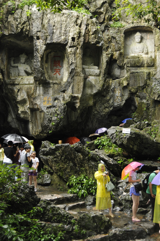 The Woods and a Haircut Ben Koger