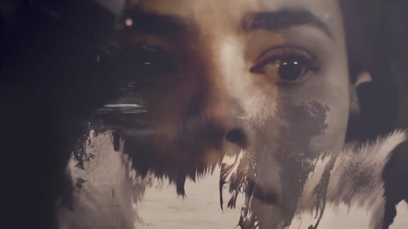 The Truth About the Harry Quebert Affair - julia wright