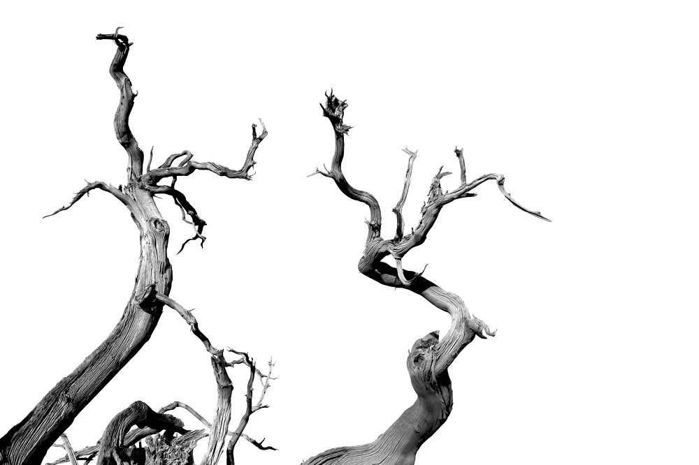 Figure Study - Yijing Liu