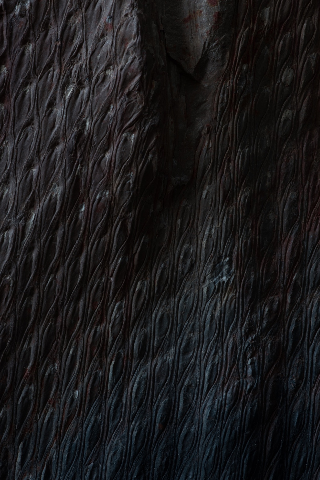 The Drowned World Michael Wang